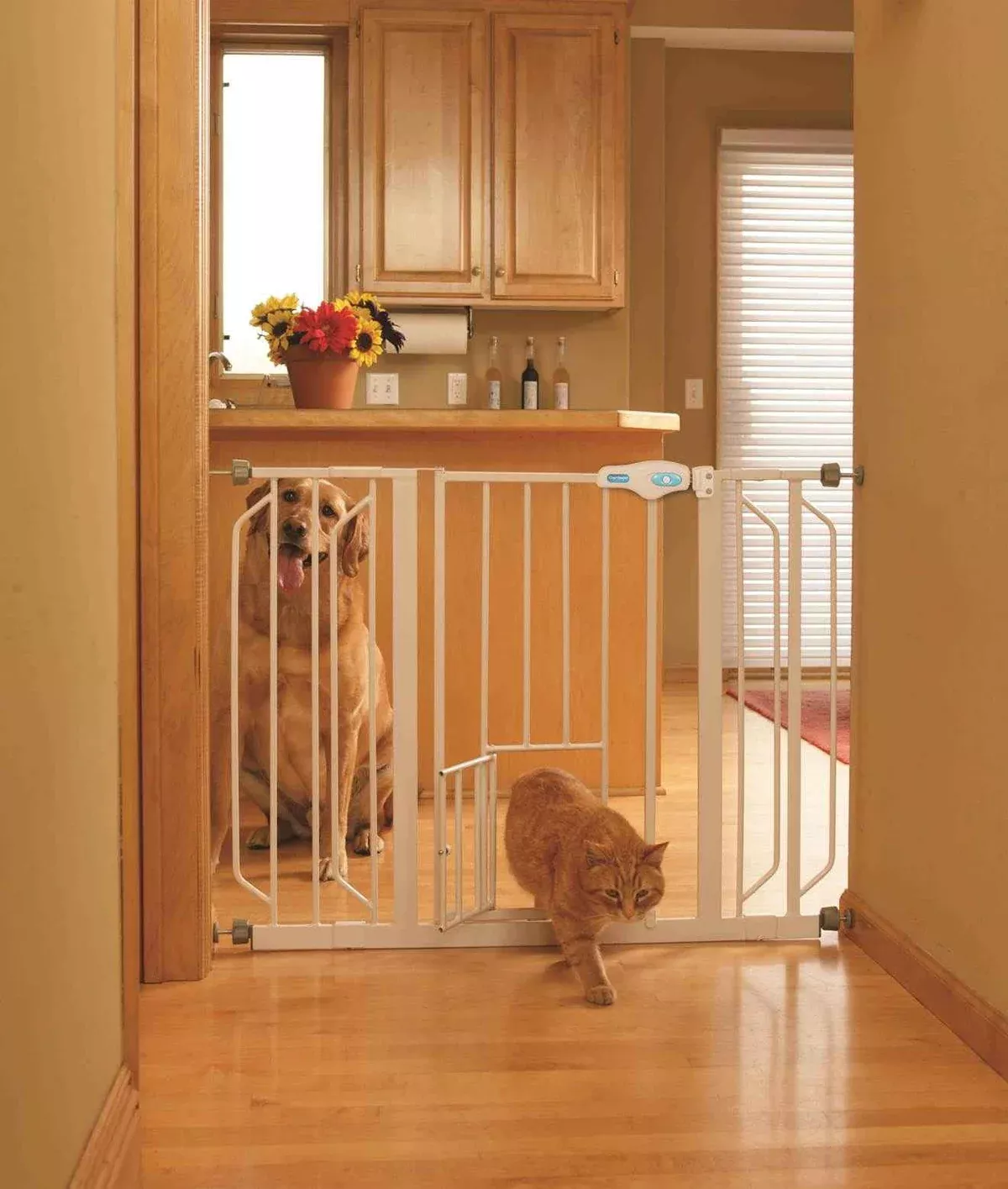 Carlson Extra Wide Pet Gate with Small Door