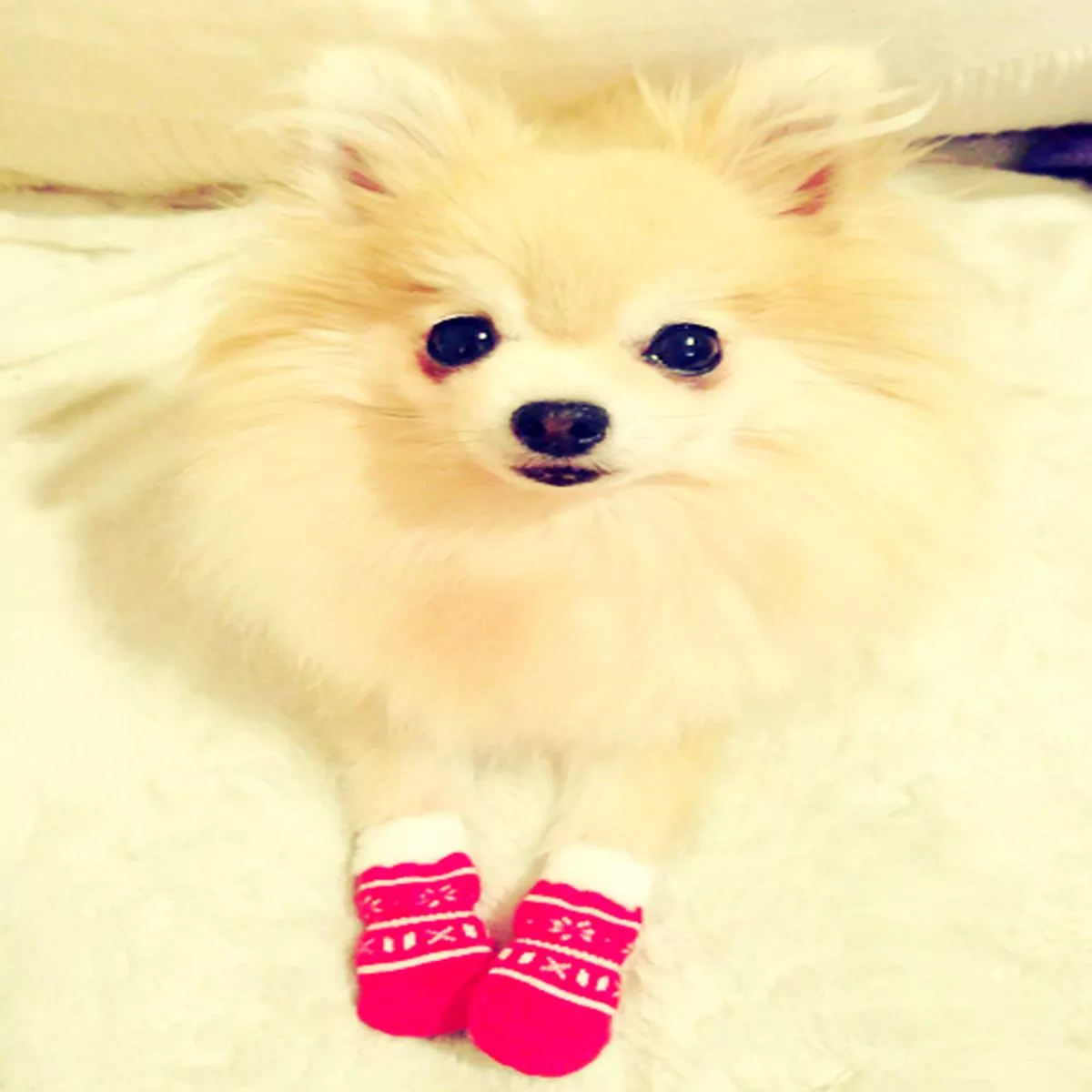 Christmas Snowflake Socks with Fuzzy Trim