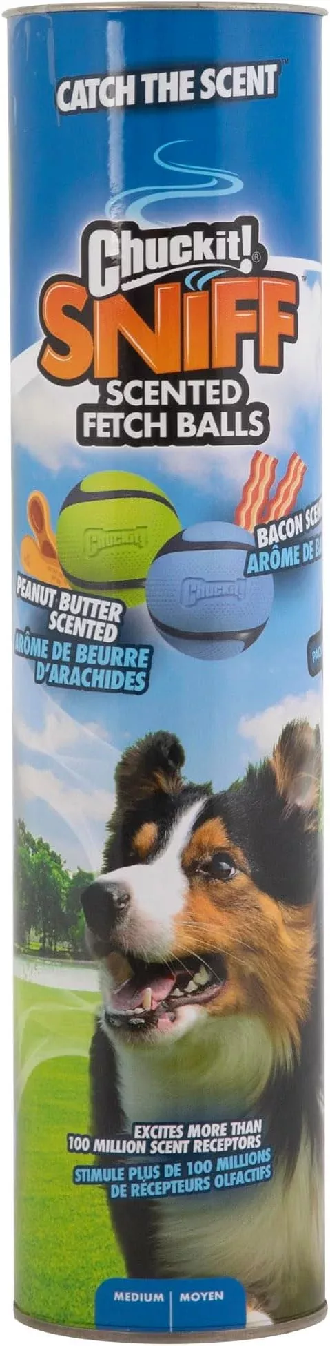 Chuckit! Sniff Fetch Balls Canister, Pack of 4, for Medium Dog Breeds (20-60 lbs)