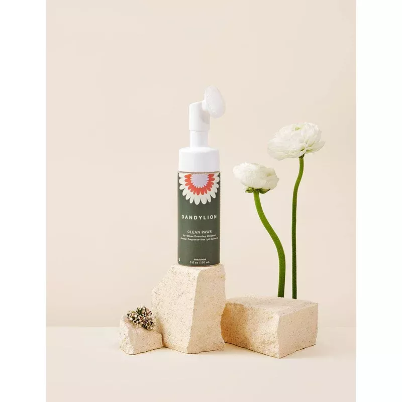 Clean Paws No-Rinse Foaming Cleanser