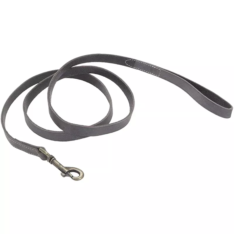 Coastal Circle T Rustic Leather Dog Leash