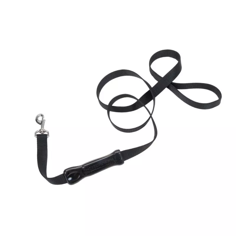 Coastal Control Handle Leash 6′