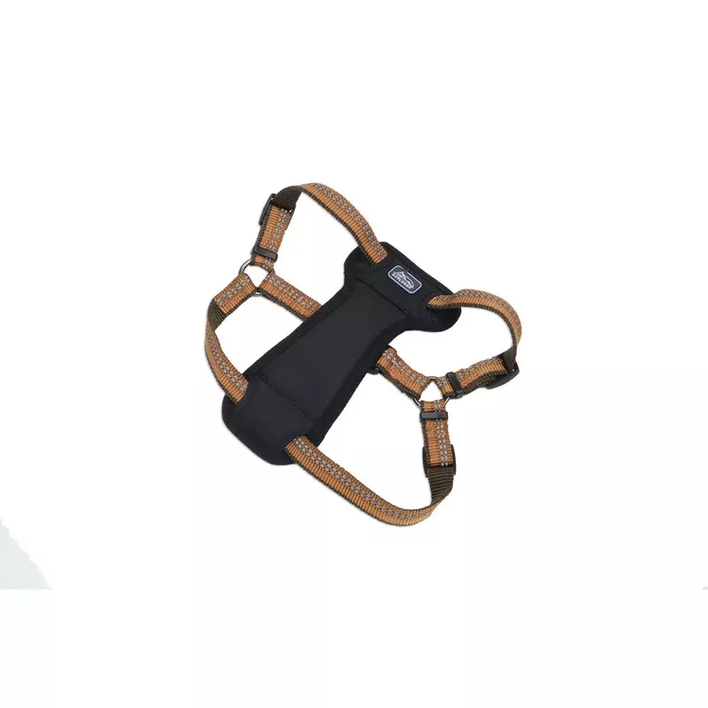 Coastal K9 Explorer Padded Harness