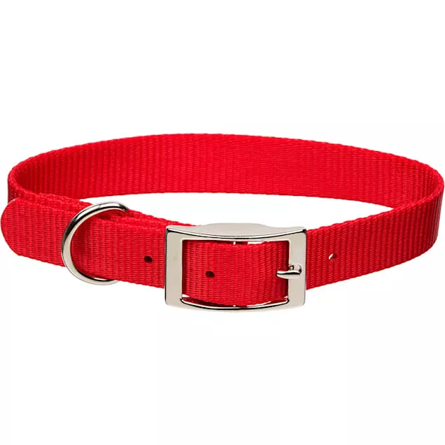 Coastal Single-Ply Dog Collar
