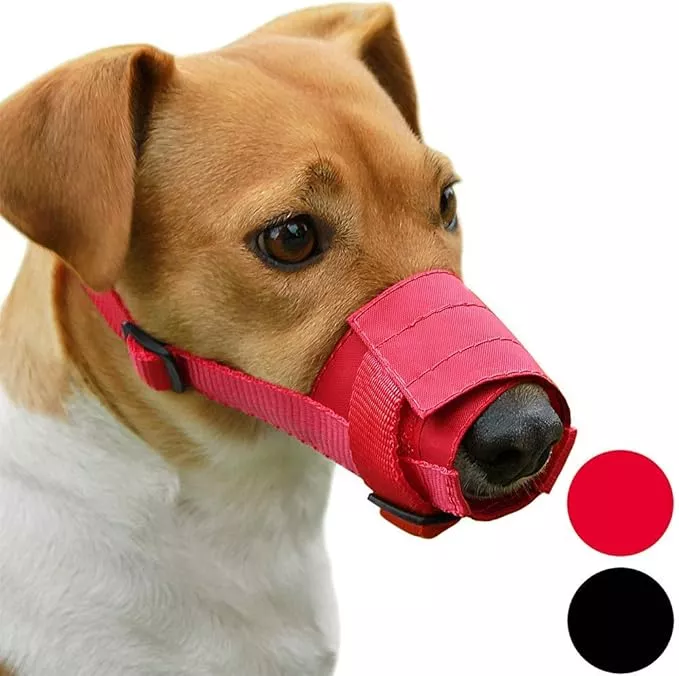 CollarDirect Nylon Dog Muzzle – Adjustable Soft Breathable Nylon Dog Mouth Guard Cover for Small, Medium and Large Dogs, Anti Chewing, Barking & Biting (2 Black, L/XL)