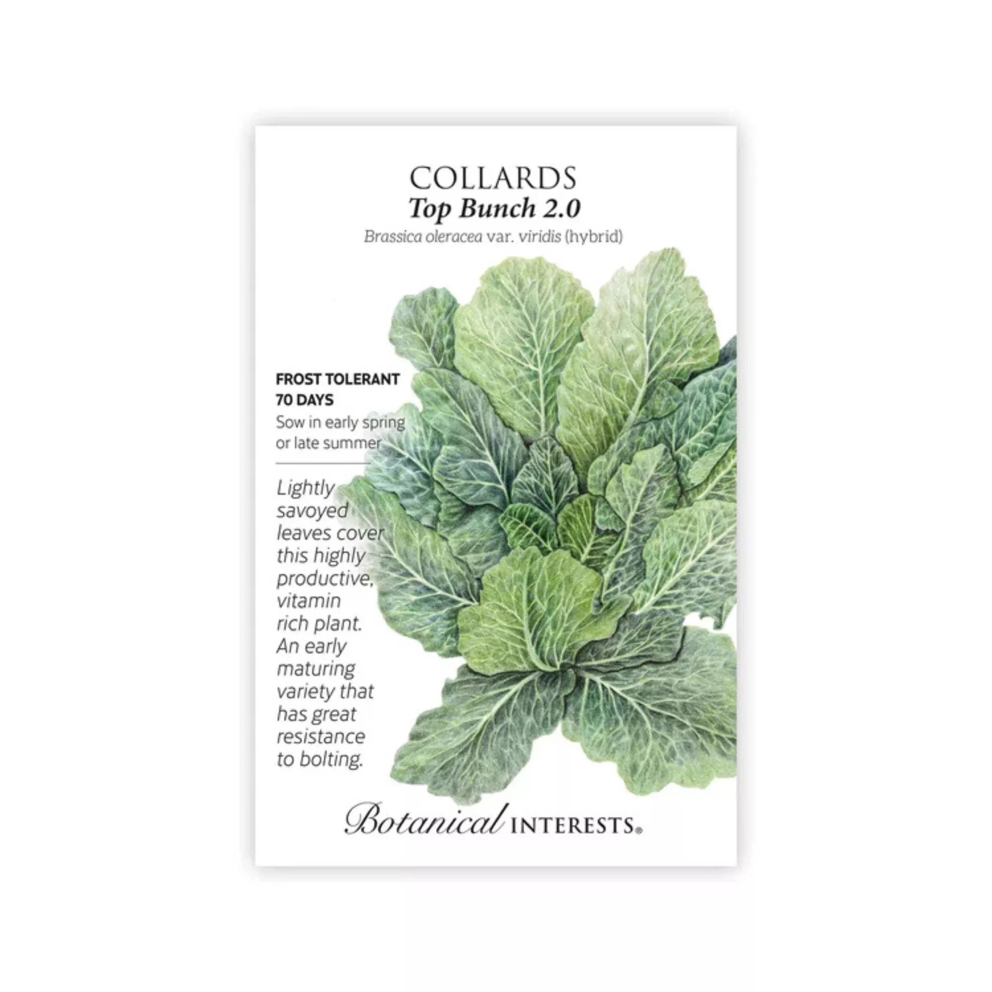 Collards Top Bunch 2.0