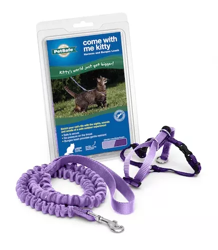 Come With Me Kitty Cat Harness & Bungee Leash