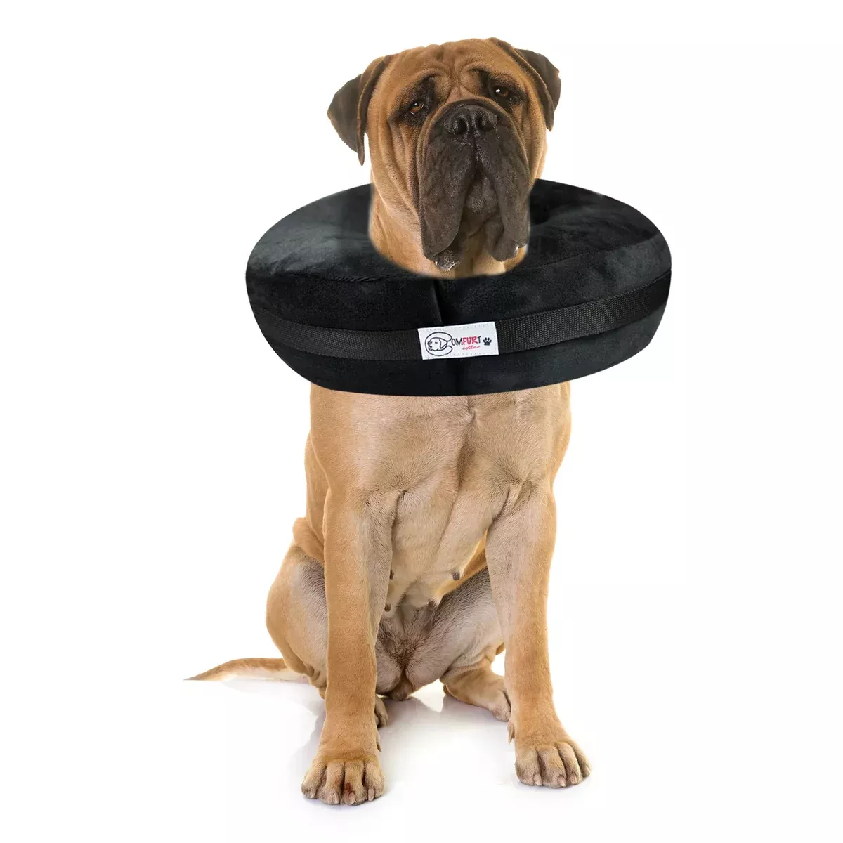 Comfurt Collar Pet Recovery Collar – XXL – Black