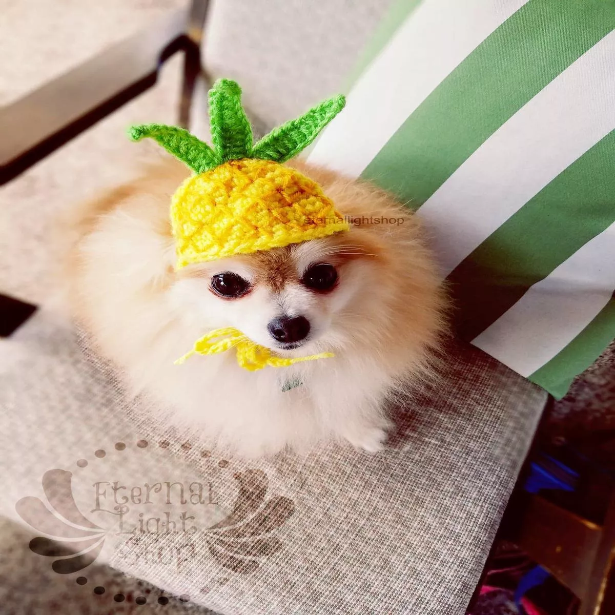 Crochet Pineapple Beanie Hat