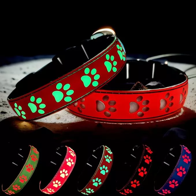 Dog Collar with Lights, 15 Lighting Modes Silicone Pet Collar, USB C Rechargeable LED Dog Collar for Night Safety, Adjustable Soft Glowing Collar for Dogs (PW-RED, M(15.7-19.7″))