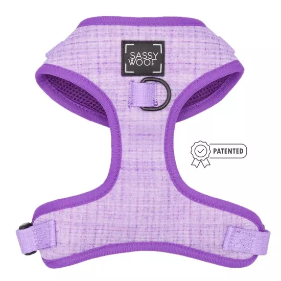 Dog Harness – Aurora
