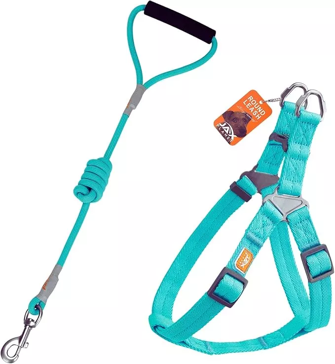 Dog Harness and Leash – Comfortable Leash and Harness for Small, Medium, Large Dogs – Perfect for Training, Includes D-Ring Set[M]