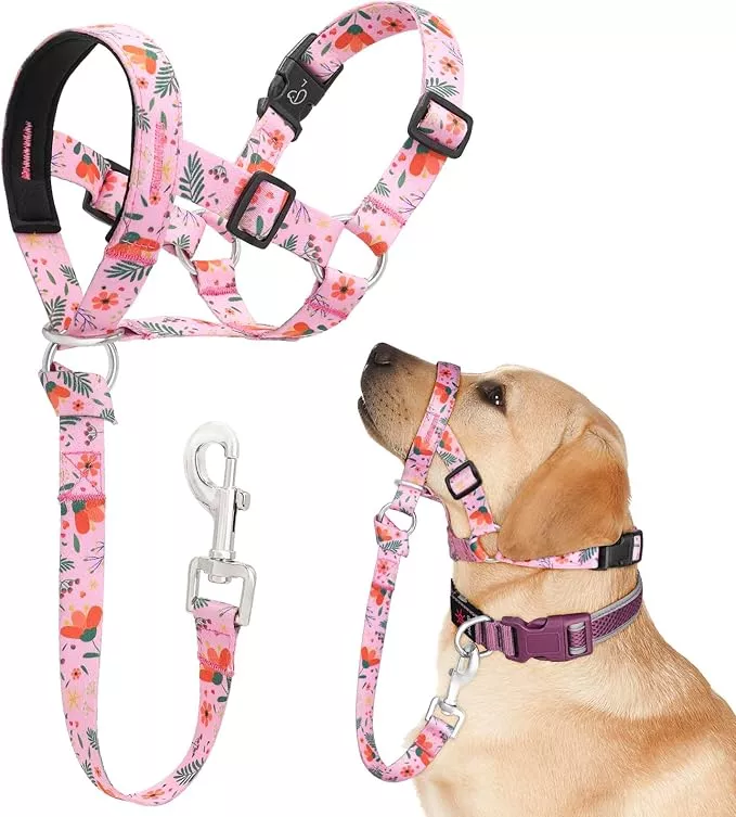 Dog Head Collar, Printed No-Pull Headcollar, Adjustable Dog Head Halter Gentle Lead with Safety Link, 3 Colors Muzzle Leash for Small Medium Large X-Large Dogs Easy Walks (Large, Flamingo)