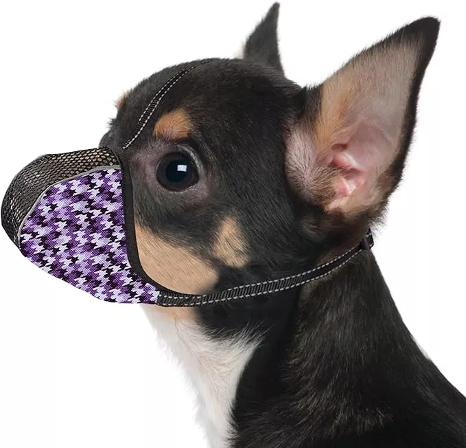 Dog Muzzle for Extra Small Dogs Anti & Prevent Biting Chewing Barking Soft Air Mesh Muzzles Reflective Ajustable Full Coverage Dog Mouth Guard Cover for Grooming Scavenging Colour S