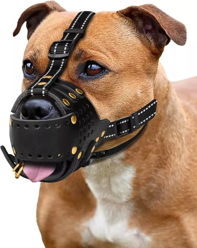 Dog Muzzle, Leather Basket Soft Muzzles Medium Large Breeds, Pitbull Dog Muzzle Amstaff Staffordshire Terrier, German Shepherd Dalmatian Doberman Adjustable (L)