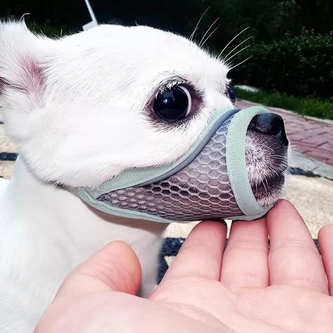 Dog Muzzle for Small Medium Dogs to Prevent Biting for Brachycephalic Dogs with Short Snout,Chihuahua Pom Shih Tuz,Soft Breathable Lightweight Mesh,Open Front,for Grooming Vet Visits (Mint Blue, XS)