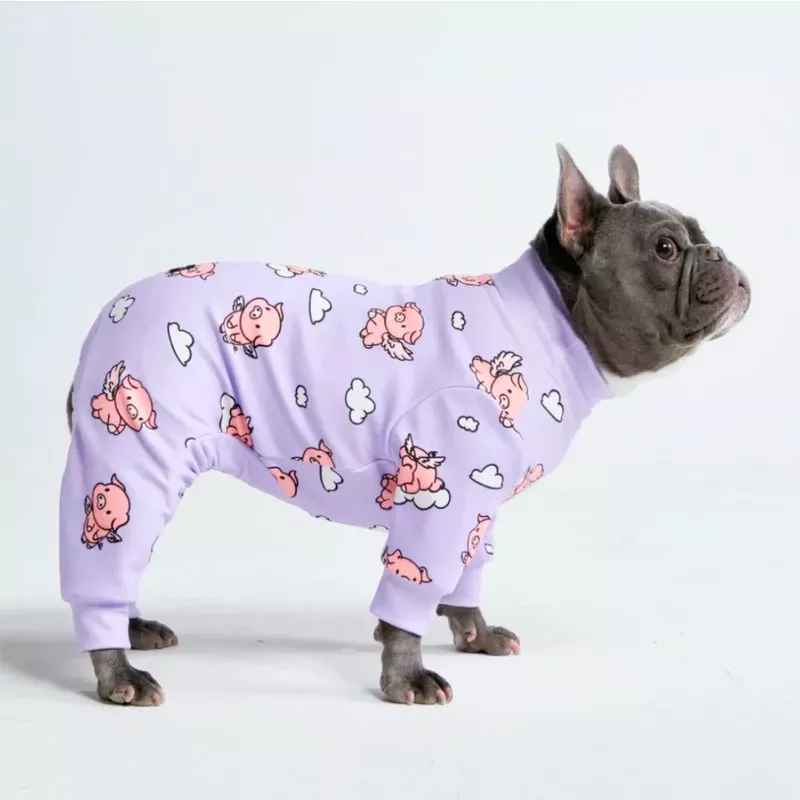 Dog Pajama – When Pigs Fly