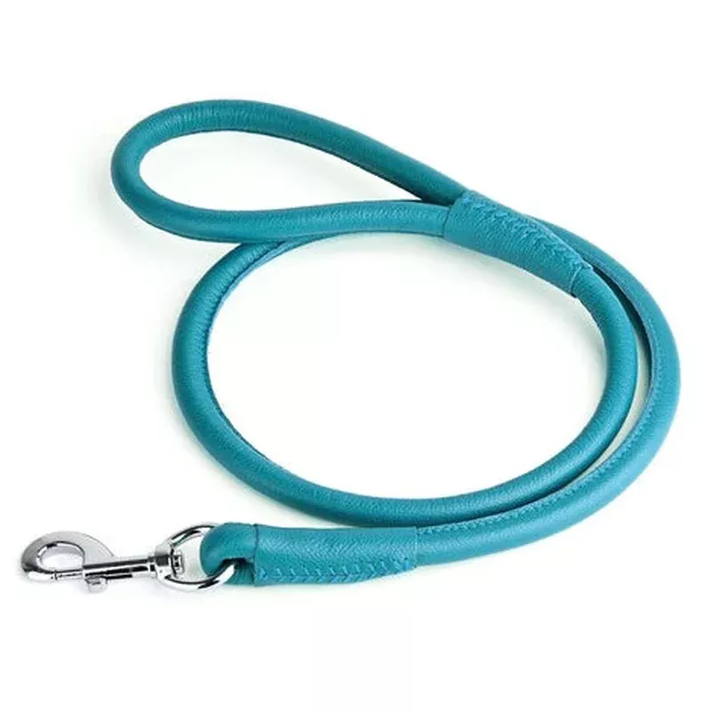 Dogline Soft Round Leather Leash Teal