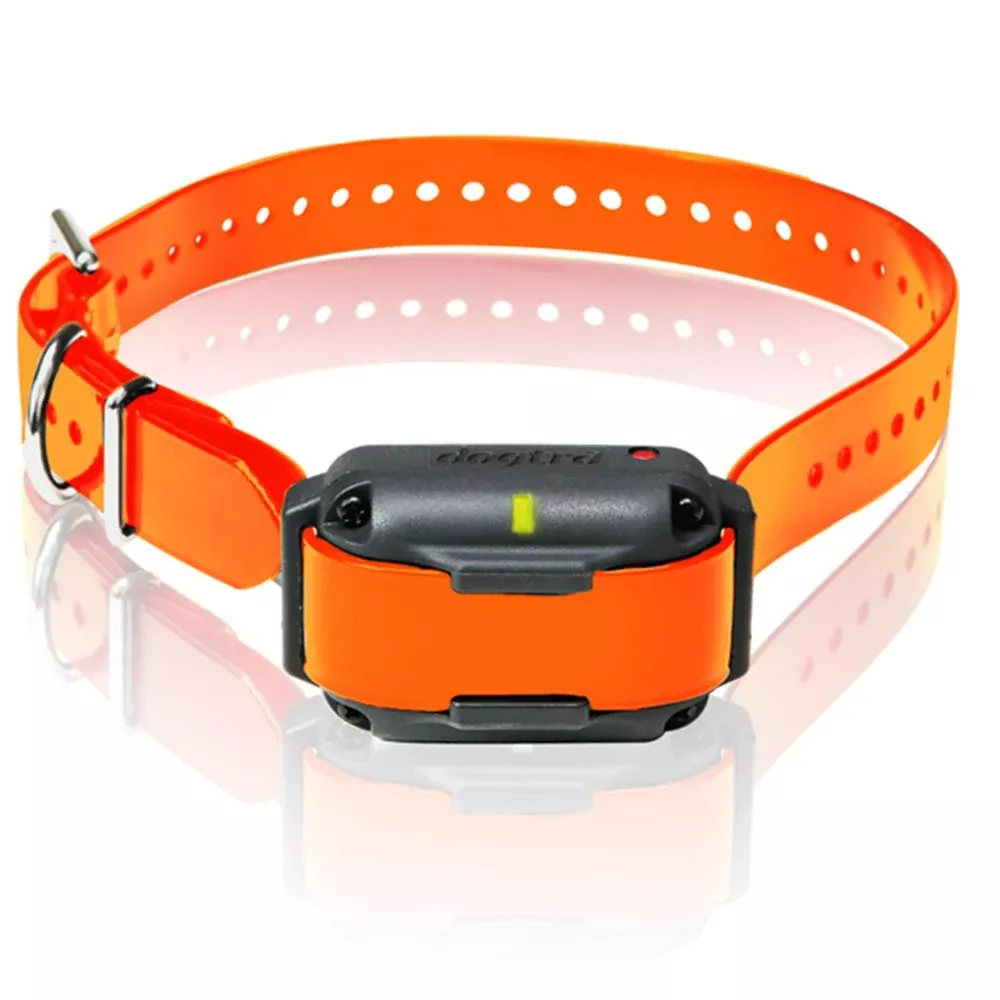 Dogtra Extra Collar/Receiver for 2300NCP – Orange