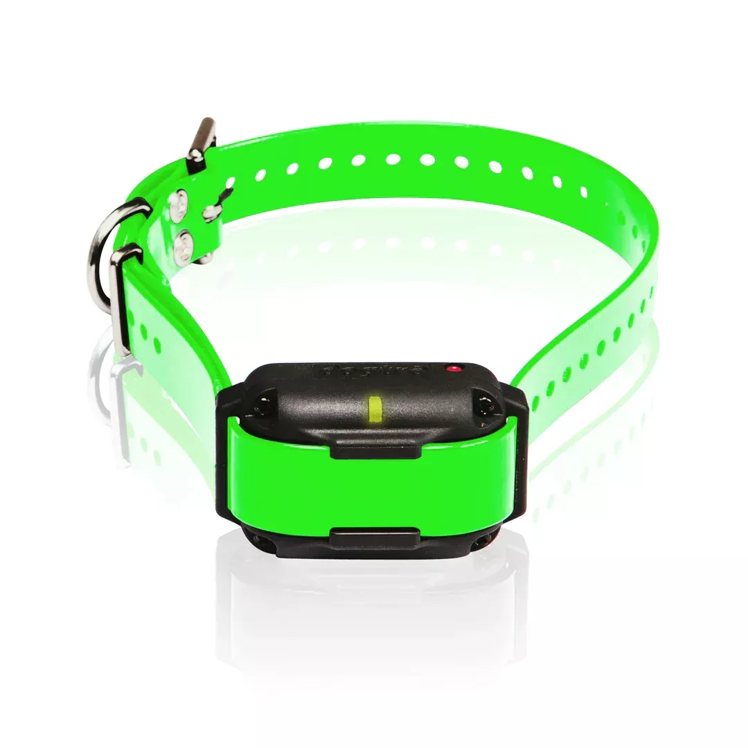 Dogtra Extra Collar/Receiver for Edge RT – Green