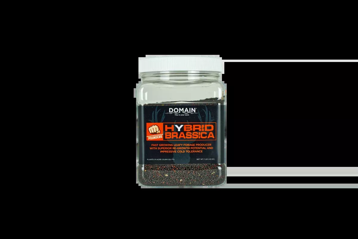 Domain Pounder™ Hybrid Brassica Food Plot Seed