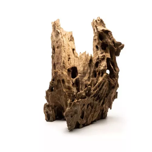 Dragon Wood