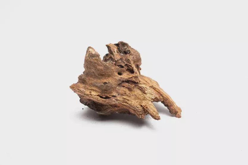 Driftwood Stump