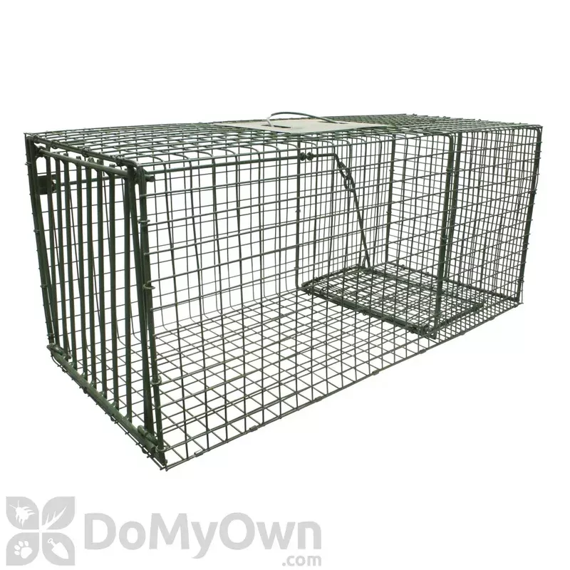 Duke Live Animal Cage Trap, Large 26inX12inX12in