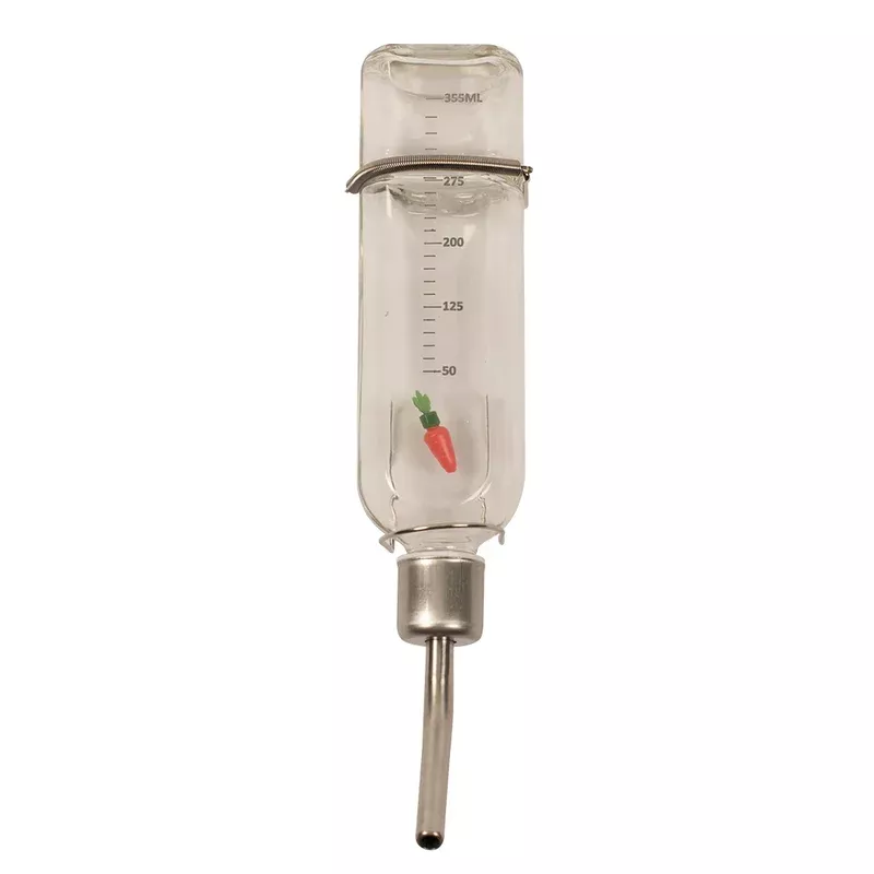 Duvo Glass Drinking Bottle