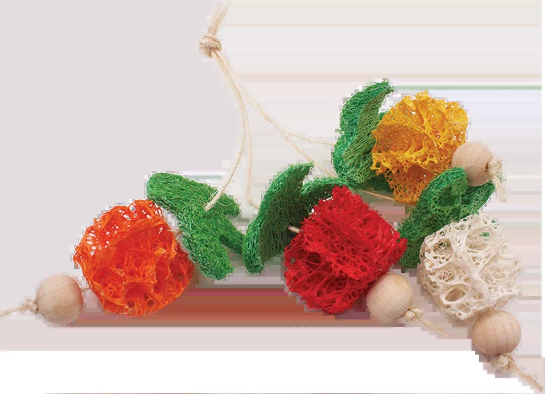 A&E Nibbles Bunch of Fruits Small Mammal Toy