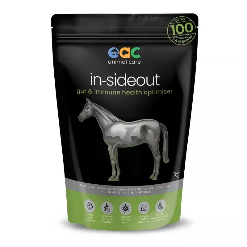 EAC IN-SIDEOUT HORSE