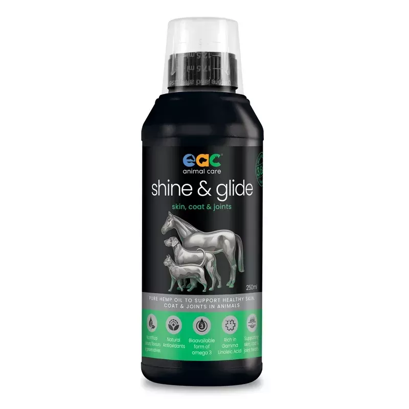 EAC SHINE & GLIDE – PURE HEMP OIL