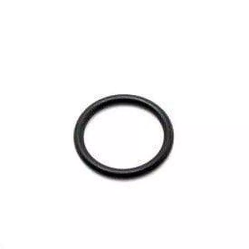Eheim Sealing Ring 7269300 for 2250 & 2260