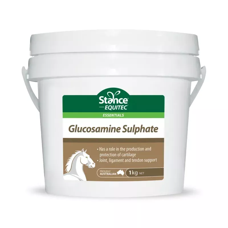 EQUITEC GLUCOSAMINE SULPHATE