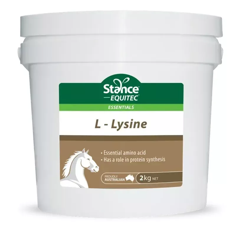 EQUITEC LYSINE 2KG
