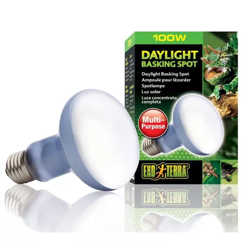 Exo Terra Daylight Basking Spot Lamp