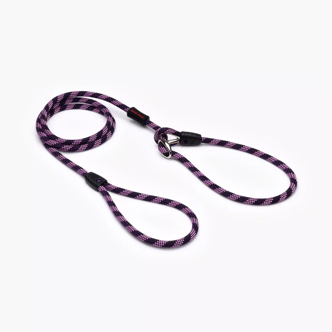 EZYDOG Luca Dog Leash – Purple