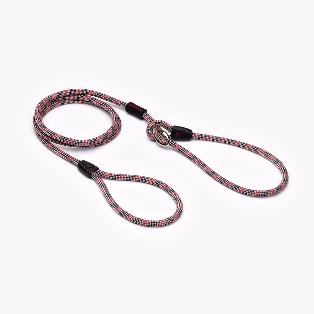 EZYDOG Luca Lite Dog Leash – Red
