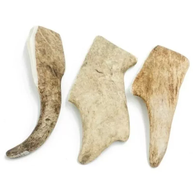 Fallow Deer Antler Chew Hard Small 10.5-13.2cm 2-4.5g