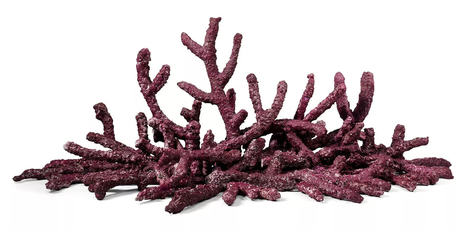 Fiji Handcrafted Aquarium Branching Reef Rock 22lb Box