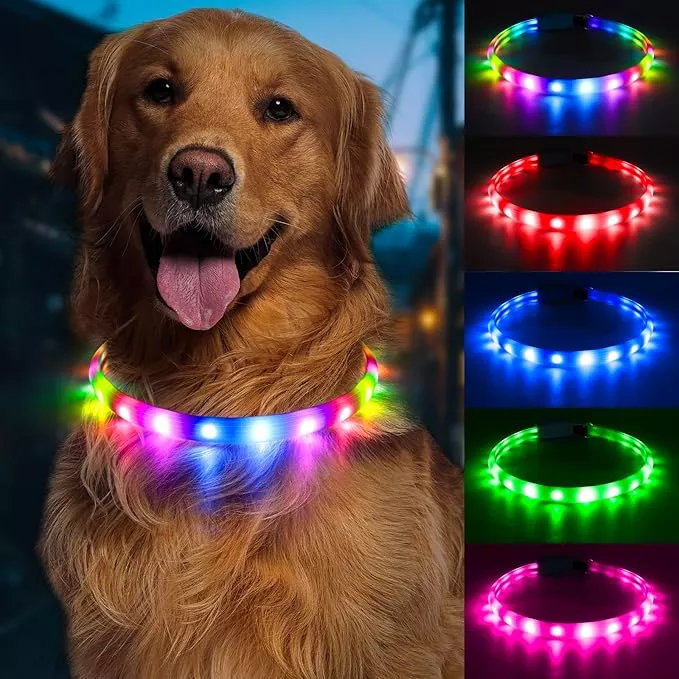 Flashseen LED Dog Collar, USB Rechargeable Glowing Lighted Up Collar, Cuttable Water-Resistant TPU Safety Collar Lights for Small Medium Large Dogs (Purple)