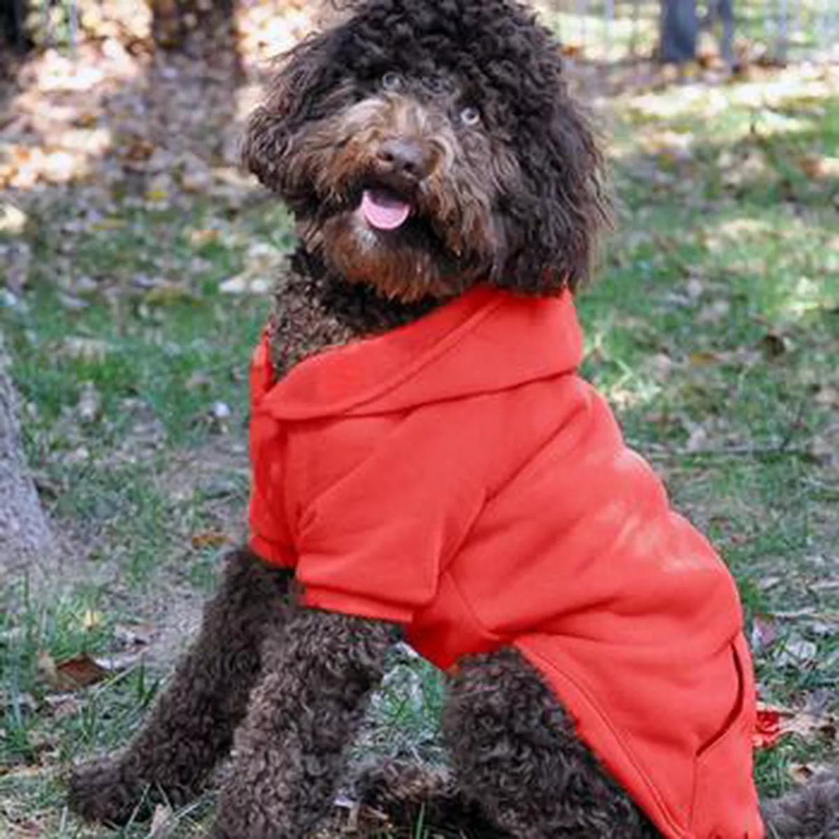 Flex-Fit Dog Hoodie – Red