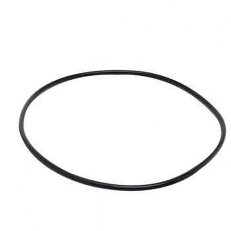 Fluval Motor Seal Ring for 305/306 & 405/406 (A20063)