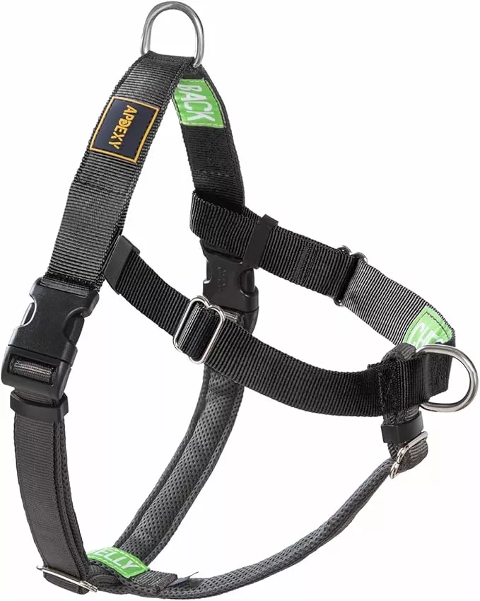 Freedom No Pull Dog Harness for Medium Dogs, Easy Walker, Anti Pulling with Two Stainless D-Rings, Comfortable, Sewn-in Instructions Tags for Easy Use (Black, M)