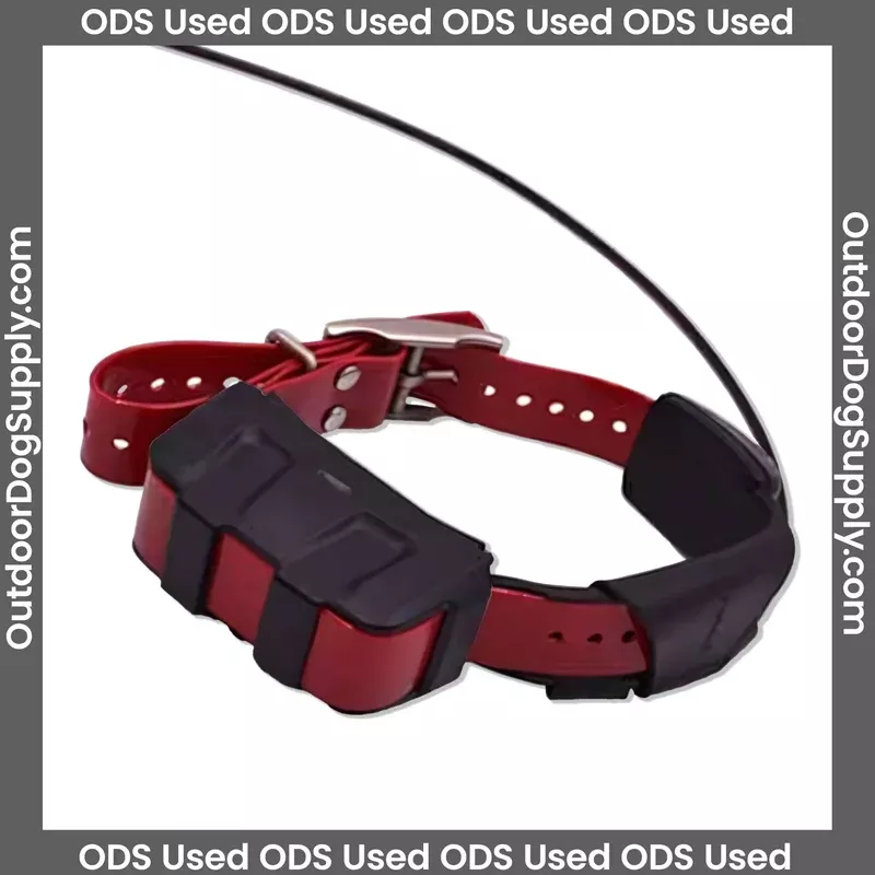 Garmin DC50 Collar – Used