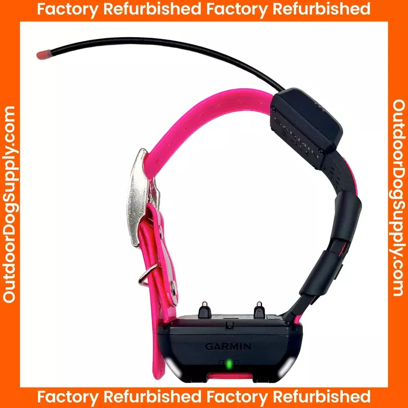 Garmin TT25 Tracking & Training Collar- Factory Refurbished