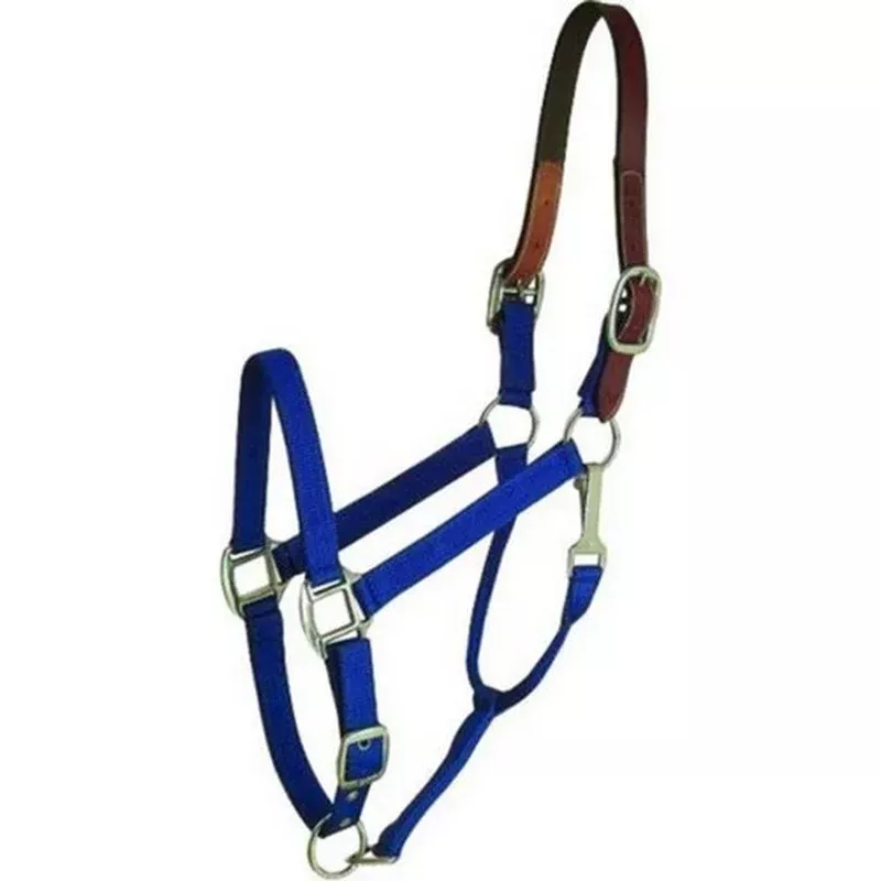 Gatsby, Gatsby Nylon Breakaway Halter, COB,Blue