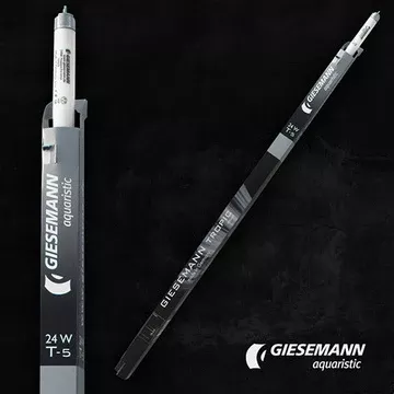 Giesemann Tropic T5 80W