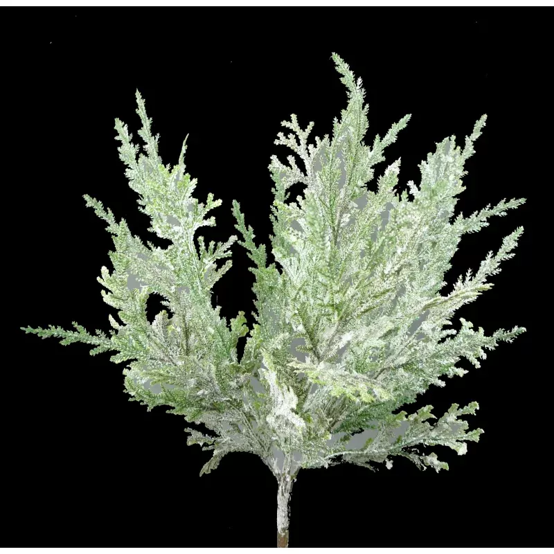 glitter pine bush