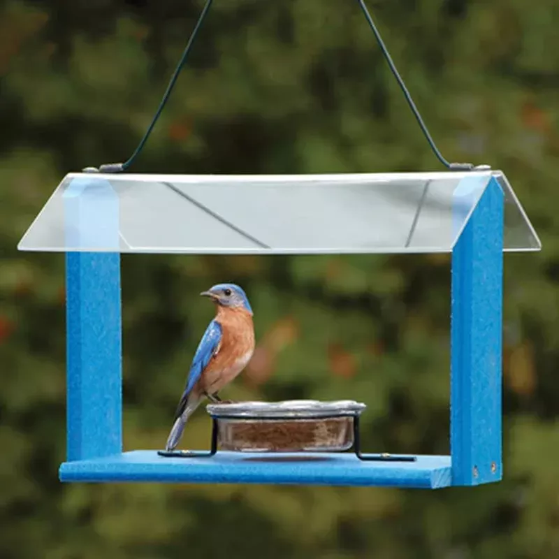 Going Green Recycled Bluebird Feeder – Blue